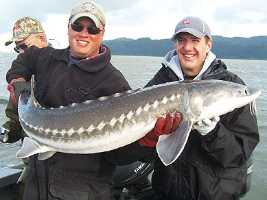 Sturgeon Fishing Guides