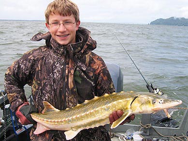 Columbia River Green Sturgeon