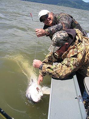 Oversize sturgeon guide